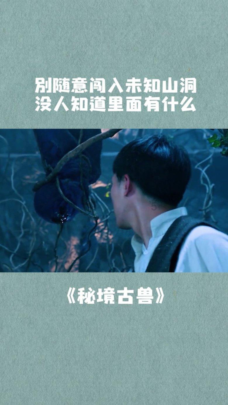 央视网消息：河北高标准农田3000亩麦田将统一施工